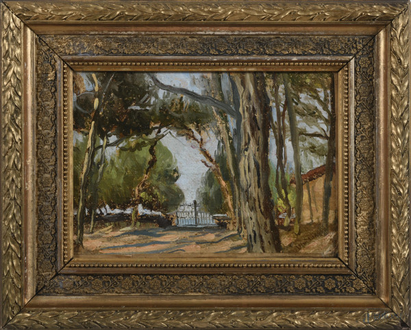Pineta, XX secolo, olio su tela, cm 19,5x26,5, firmato in basso a destra, entro cornice, (cadute di colore, ondulazioni della tela)