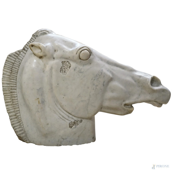 Scultura in marmo rappresentante la testa di un cavallo, XX secolo, altezza cm 60