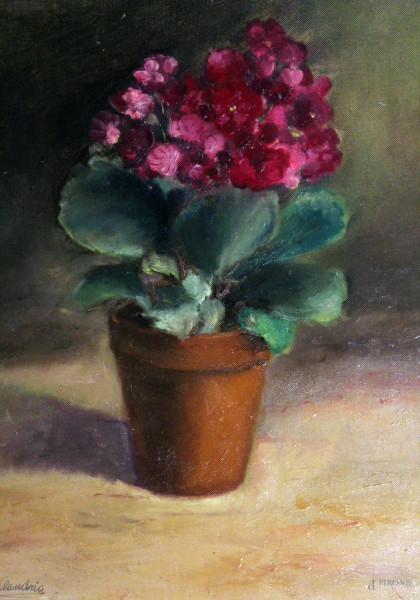 Vaso con fiori, olio su cartone, 35x40 cm, entro cornice firmato