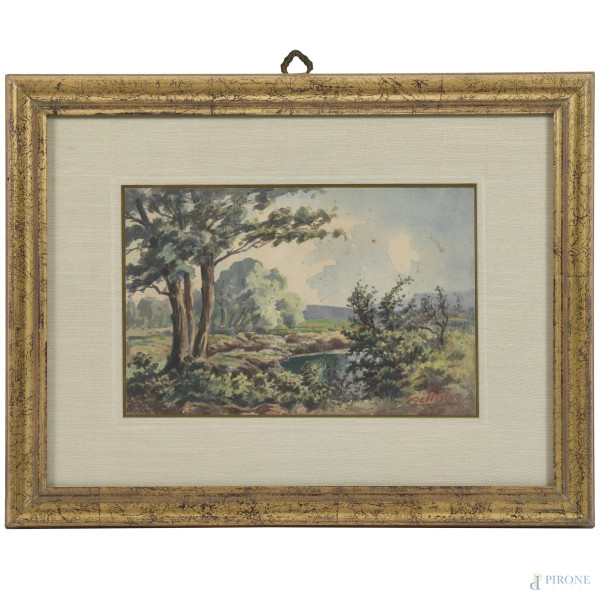 Paesaggio, XX secolo, acquerello su carta, cm 23x31, firmato in basso a destra, entro cornice, (foxing, ondulazioni della carta)
