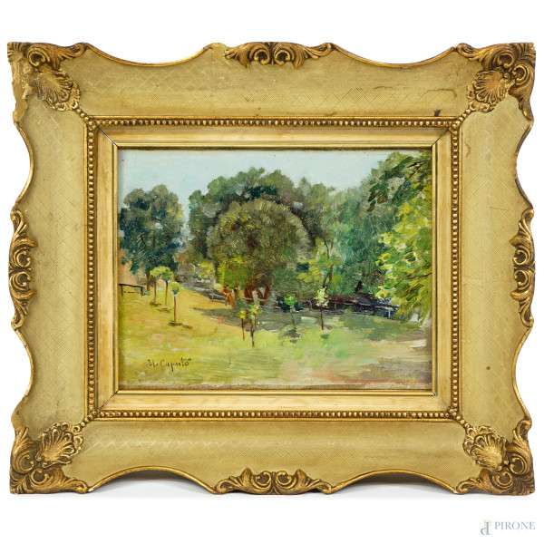 Scorcio di parco, olio su tela riportata su cartone, firmato, cm 21x26,5, entro cornice