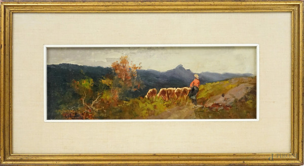 Paesaggio montano con gregge e pastorella, olio su cartone telato, cm 13x38, firmato, entro cornice.