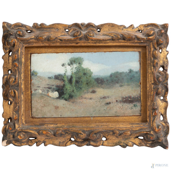 Paesaggio con alberi, olio su tavola, cm 9x14, entro cornice