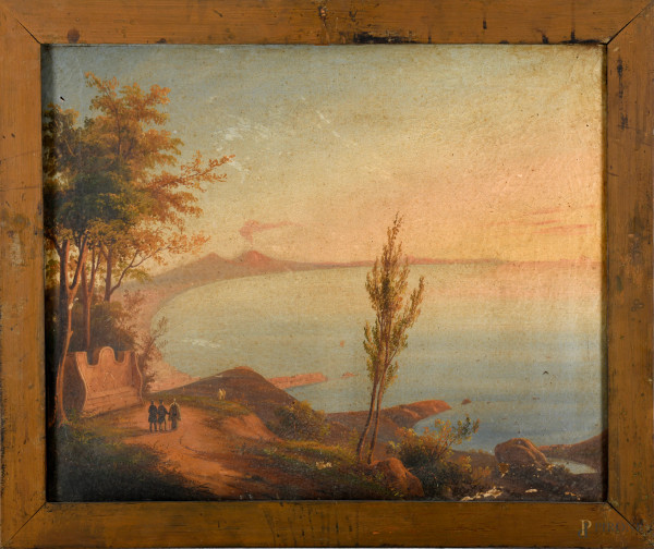 Golfo di Napoli con Vesuvio sullo sfondo, XIX secolo, olio su tela, cm 63x76, entro cornice, (difetti)