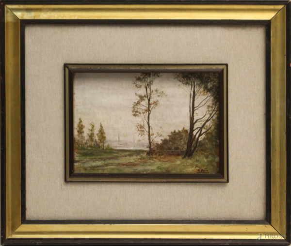 Paesaggio, dipinto olio su tavola, cm. 16x21, firmato Domingo Motta, entro cornice.