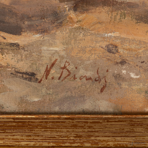 Acquaiole, XX secolo, olio su cartone, cm 40x50, firmato in basso a destra, entro cornice, (suppo...