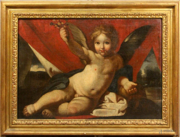 Pittore del XVIII sec, Cupido, olio su tela, cm. 55x77, entro cornice.