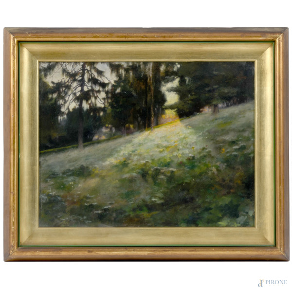 L'alba nel bosco, XX secolo, olio su tela, cm 36x46, entro cornice (ondulazioni della tela)