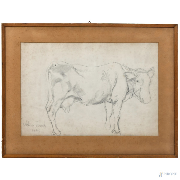 Toro, grafite su carta, firmato e datato in basso a sinistra, cm 43,5x56, entro cornice