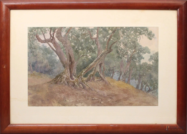 Joris Pio - Scorcio di bosco, acquarello su carta 31x51 cm, entro cornice.