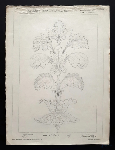 Disegno ornamentale ottocentesco raffigurante studio di botanica, grafite su carta, cm &#160;24x33, firmato e datato Ugo Tinozzo - 1889