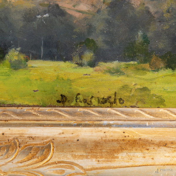 Paesaggio con case, XX secolo, olio su tela, cm 20x27,5, firmato, entro cornice,