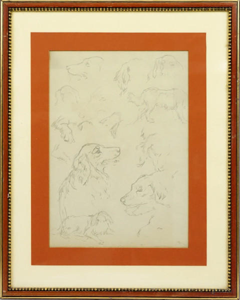 Studio di cani, disegno double face a matita su carta, XX secolo, cm 35x25, (difetti).