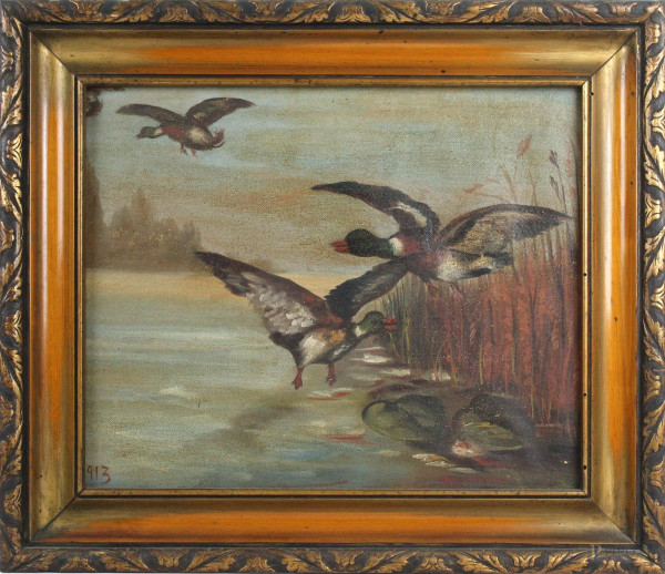 Lago con anatre, olio su tela, cm 30x35,5, inizi XX secolo, entro cornice