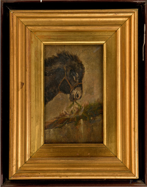 Asinello, olio su tavola, cm 14,5x24, entro cornice, XX secolo, (difetti)