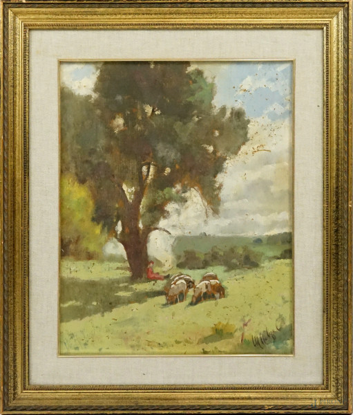 Paesaggio con pastore e gregge, olio su compensato, cm 50x40, firmato, entro cornice