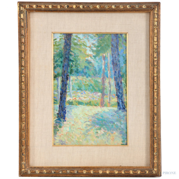 Scorcio boschivo, XX secolo, olio su cartone, cm 30,5x20, siglato in basso a sinistra, entro cornice