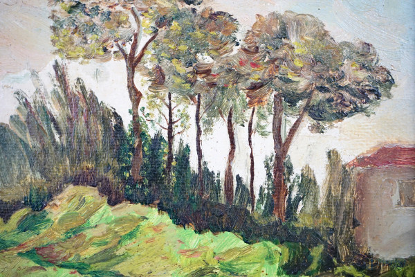 Paesaggio alberato, olio su cartone, cm 25x35, firmato, entro cornice