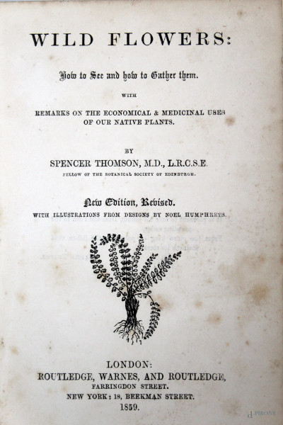 Wild Flowers, libro con otto incisioni acquarellate, Londra, 1859