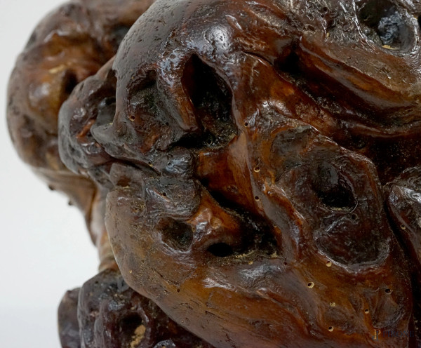 Scultura - frammento di eucalipto, XX secolo, cm h 30