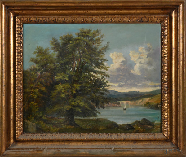 Albero in riva al fiume, XX secolo, olio su tela, cm 40x49, entro cornice