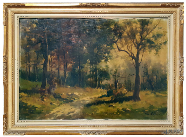 Angelo De Biasi (XIX-XX sec.), Paesaggio boschivo con sentiero, grande dipinto ad olio su tela, cm 80x120, firmato, entro importante cornice coeva.