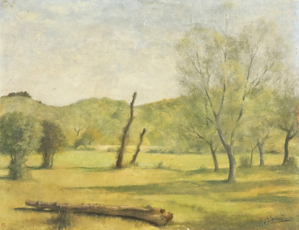 Paesaggio con alberi, olio su tavola, cm 50,5x66, firmato