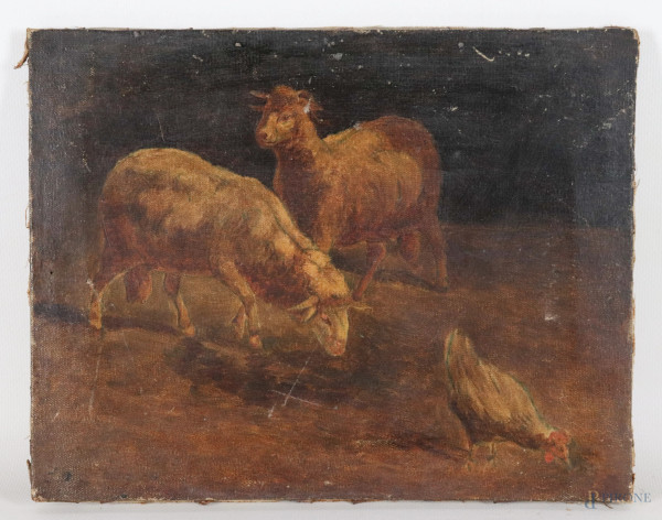 Interno di stalla con pecore e gallo, XX secolo, olio su tela, cm 21x27, (segni di usura, abrasioni, cadute di colore, segni di battitura del telaio)