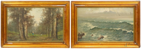 Coppia di dipinti raffiguranti una marina ed uno scorcio boschivo, olio su cartone, cm 39x63, XX secolo, entro cornici