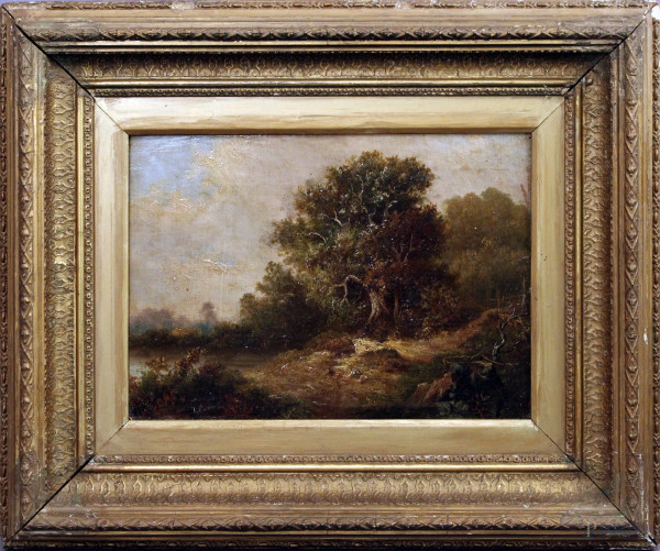 Paesaggio boschivo, olio su tela, XIX sec., cm 24 x 34, entro cornice.