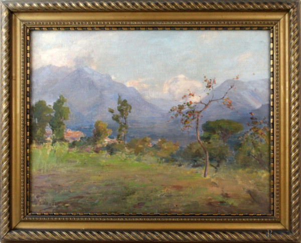 Leopoldo Galeota, Paesaggio montano, olio su tela, cm 41x51, entro cornice.