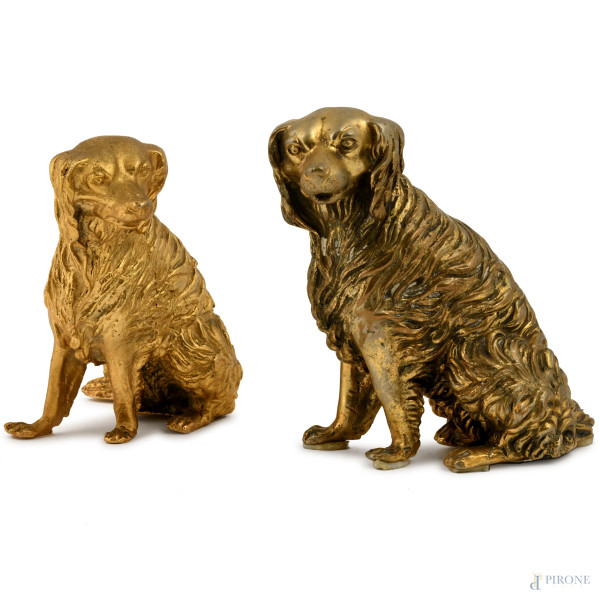 Lotto composto da 2 cani in bronzo dorato, XX secolo, altezza massima cm 59, (difetti)