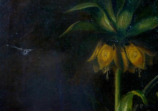 Pittore del XIX-XX secolo, Natura morta con Fritillaria Imperialis, fiori, pane e brocca, olio su...