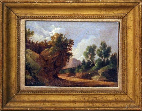 Scorcio boschivo, olio su tela del XIX sec, 19x25 cm, entro cornice