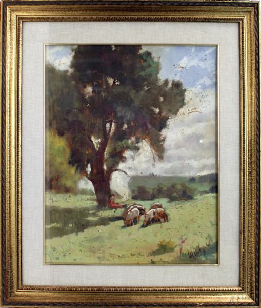 Paesaggio con pastorello ed armenti, olio su legno, cm 50x40, firmato, entro cornice.
