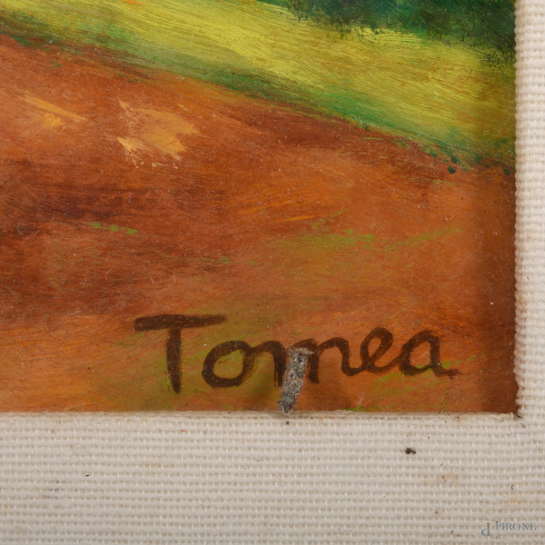 Paesaggio con case, olio su cartone, cm 48,5x37,5, firmato in basso a destra, entro cornice, (dif...