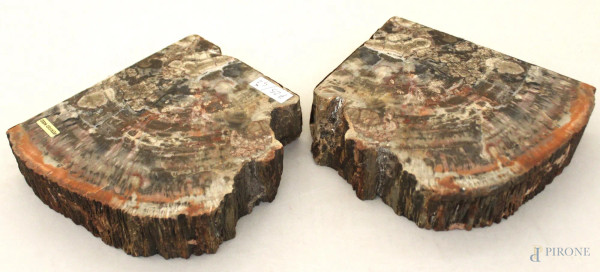 Coppia fermalibri in marmo, lung. 20 cm.