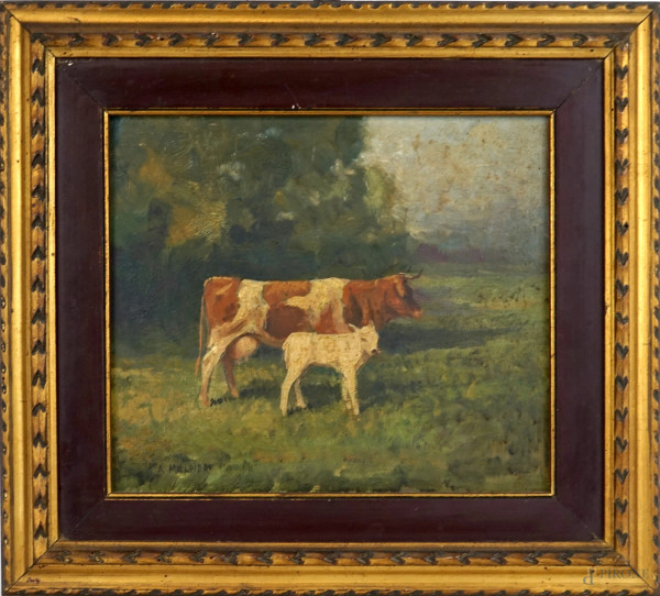 Arnaldo Malpieri - Mucche, olio su tavola, cm 24x27, entro cornice.