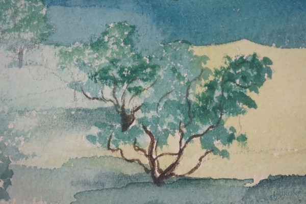 Scorcio di parco, acquerello su carta, firmato e datato, cm 22x17,5, entro cornice