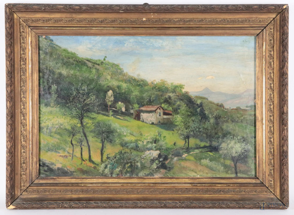 Paesaggio collinare con case contadine, XX secolo, olio su tela, cm 32x48,5, firmato in basso a sinistra, entro cornice, (segni di usura, ondulazioni della tela, craquelure, piccole cadute di colore)