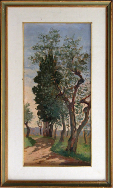 Adolfo Tommasi - Sentiero con alberi, olio su tavola, cm 53 x 25, entro cornice.