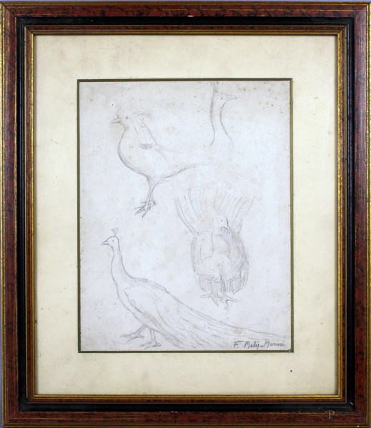 Pavone, bozzetto a matita su carta, cm. 29x22,5, firmato F. Melis - Marini, entro cornice.