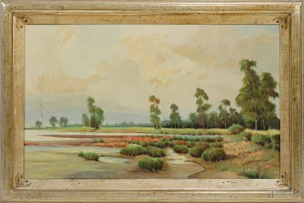 Paesaggio lacustre, olio su tela, cm 44x66, firmato in basso a destra, entro cornice