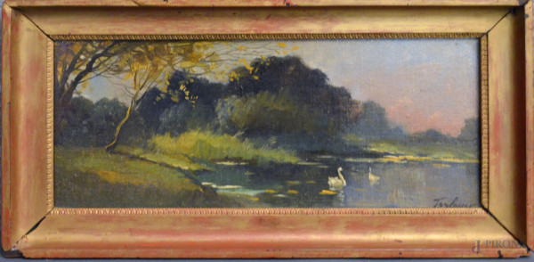 Scorcio di laghetto con cigni, olio su tavola 40x16 cm, entro cornice, XIX sec.