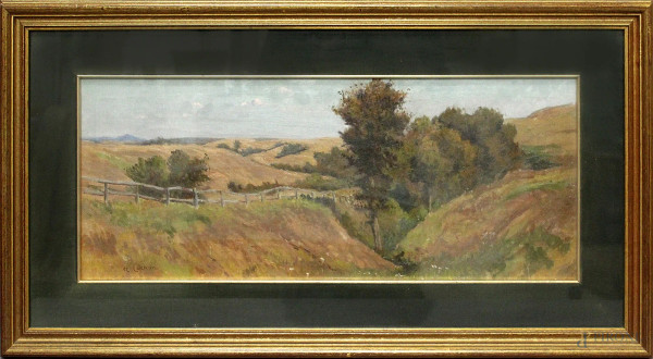 Campagna romana,olio su tela 58x23 cm,recante firma Coleman,entro cornice.