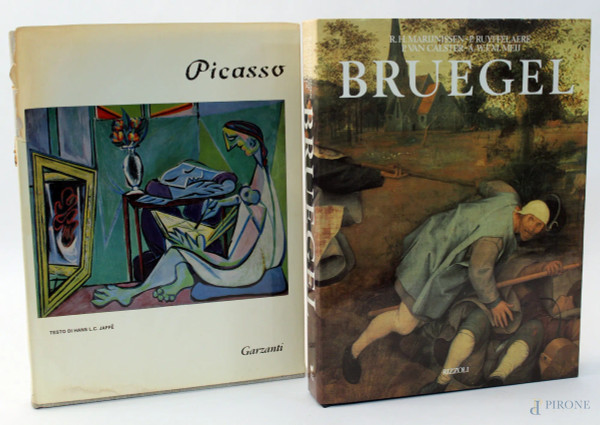 Lotto composto da due libri diversi su Picasso e Brugel.