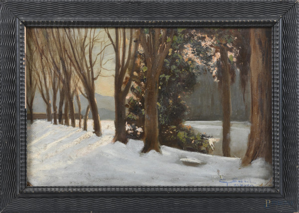 Parco innevato, XX secolo, olio su cartone, cm 30x45, firmato in basso a destra, entro cornice, (segni di usura, abrasioni, supporto imbarcato, difetti)