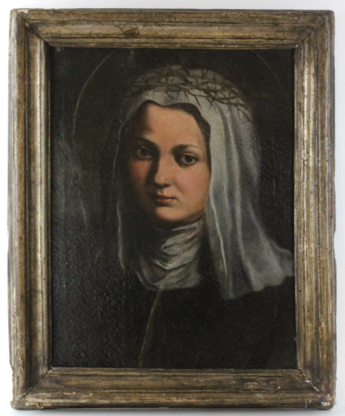 Francesco Solimena - (Attribuito) , Ritratto femminile nelle vesti di S.Caterina da Siena, olio su tela, cm 46 x 38, cornice coeva in legno dorato a mecca