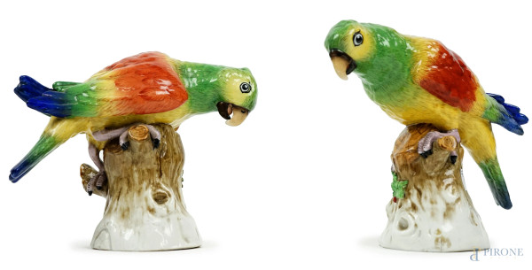 Coppia di pappagallini in porcellana policroma Capodimonte, XX secolo, cm h 14, marchio sotto la base, (difetti).