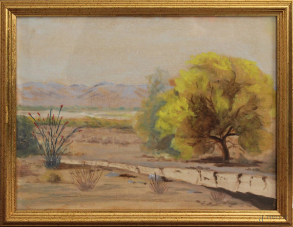 Paesaggio con alberi, olio su cartone telato, cm 30 x 40, entro cornice.